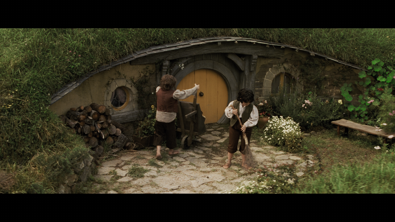 The Lord of the Rings- The Fellowship of the Ring (EXT.) PT. 1.mkv_snapshot_00.09.12_[2020.12.05_21.