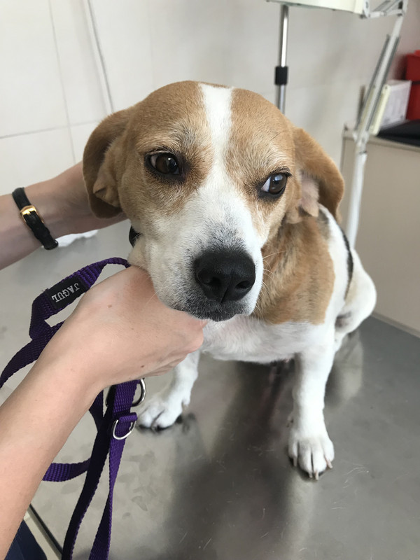 F31E261F-6489-4FB7-89DF-F45D49B21C58