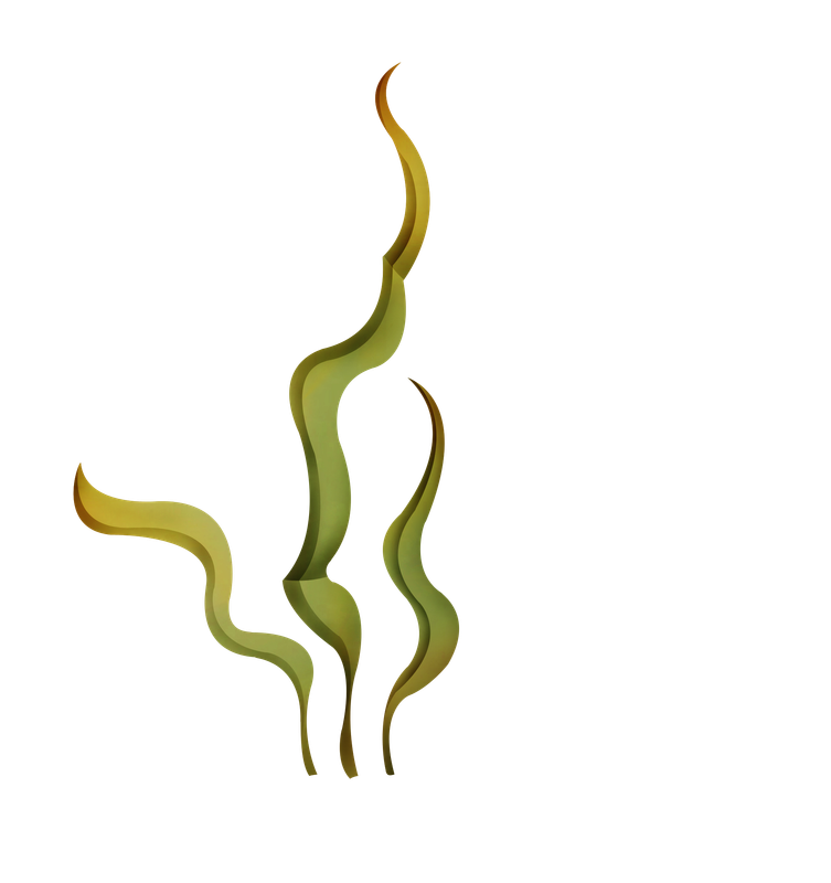e55_ks