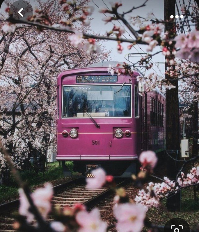 Screenshot_20231011_202747_Pinterest