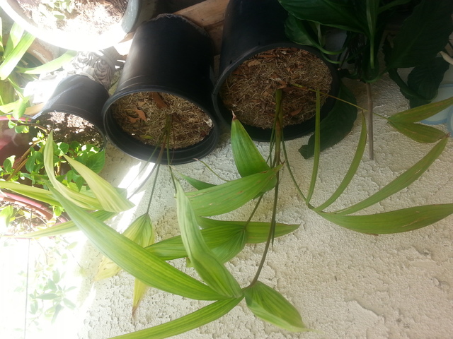 20150730_103835