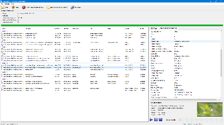 3delite Duplicate MP4 Video and Audio Finder 1.0.42.45 (x64)