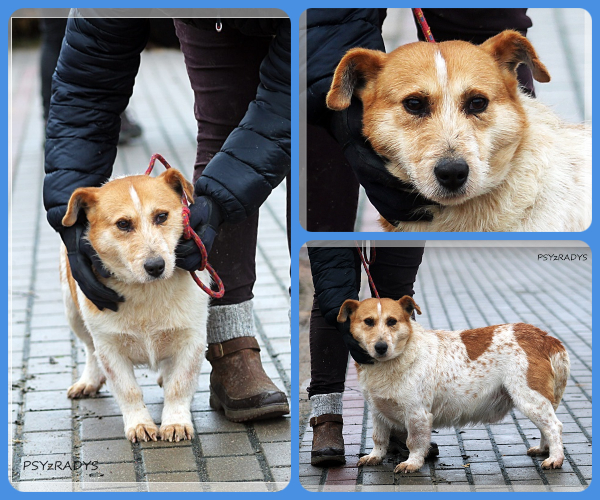 BeFunky-collage (17)