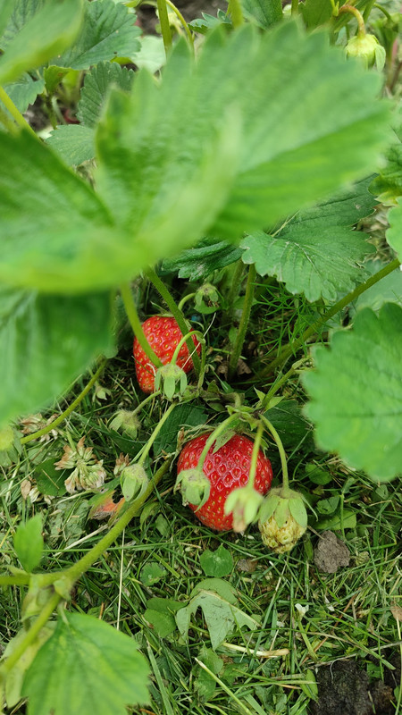 IMG-e8b4f0ad5930d4f739fa36b30bd1585c-V