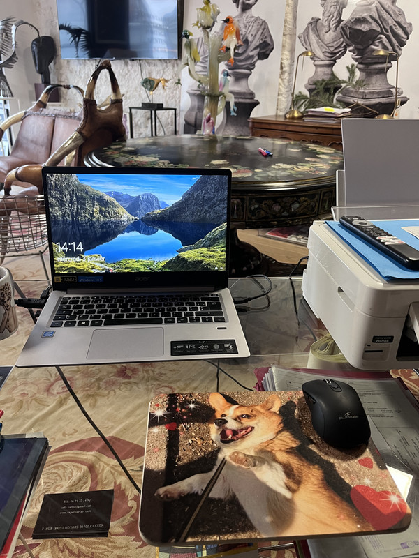 [Image: IMG-7431.jpg]