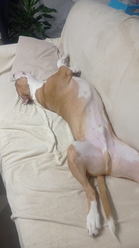 C364E18E-C315-4B01-A89C-BA37DFA84E3C