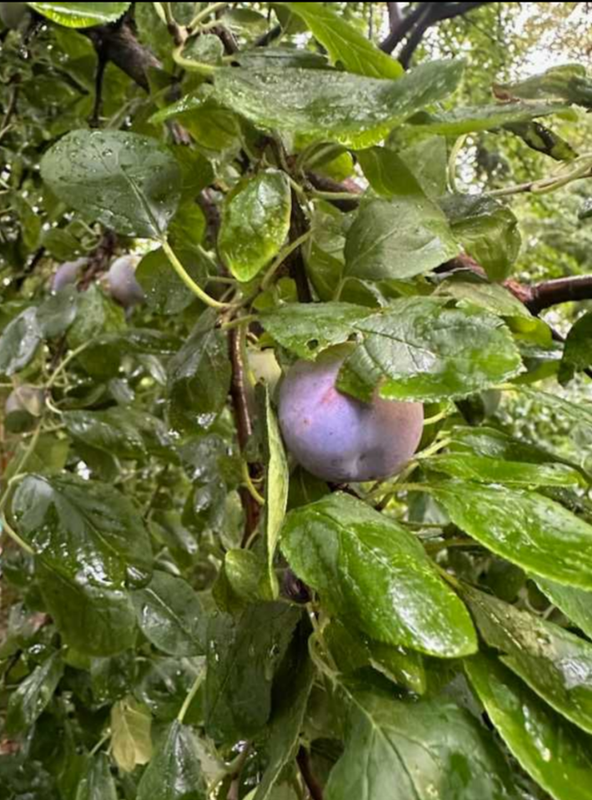 Screenshot_20230811-152708