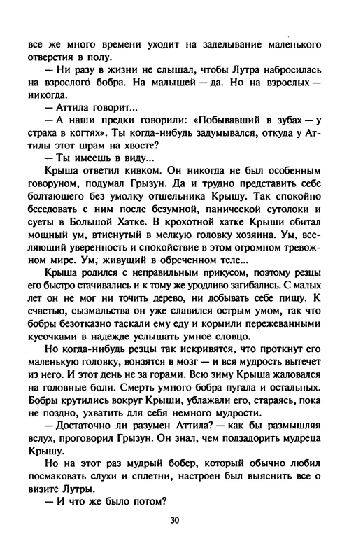 Kouni-Kot-po-imeni-Sabrina-0033