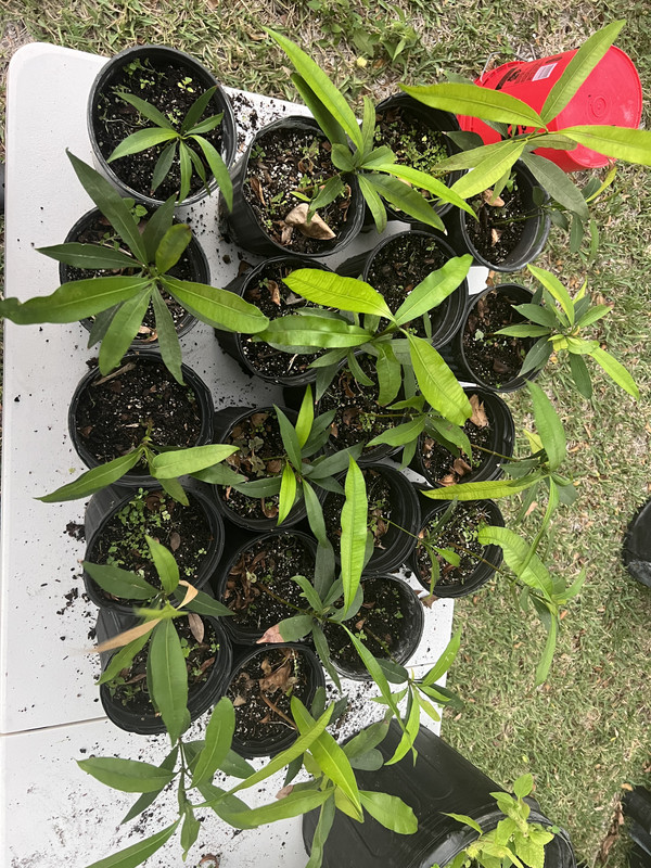 AC19A540-5BB6-49FD-BACF-3F9CA00F3919