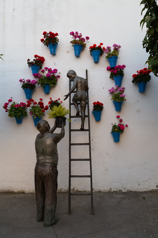 IMG_1453 (FILEminimizer)