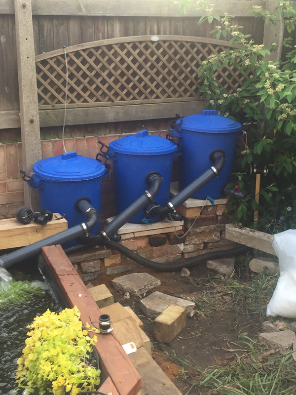 BFF2BA09-9F0F-4360-AB81-CE8A2D01198C