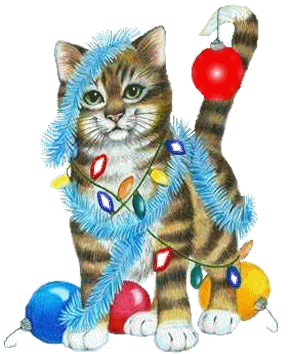 Christmas-cat-lights
