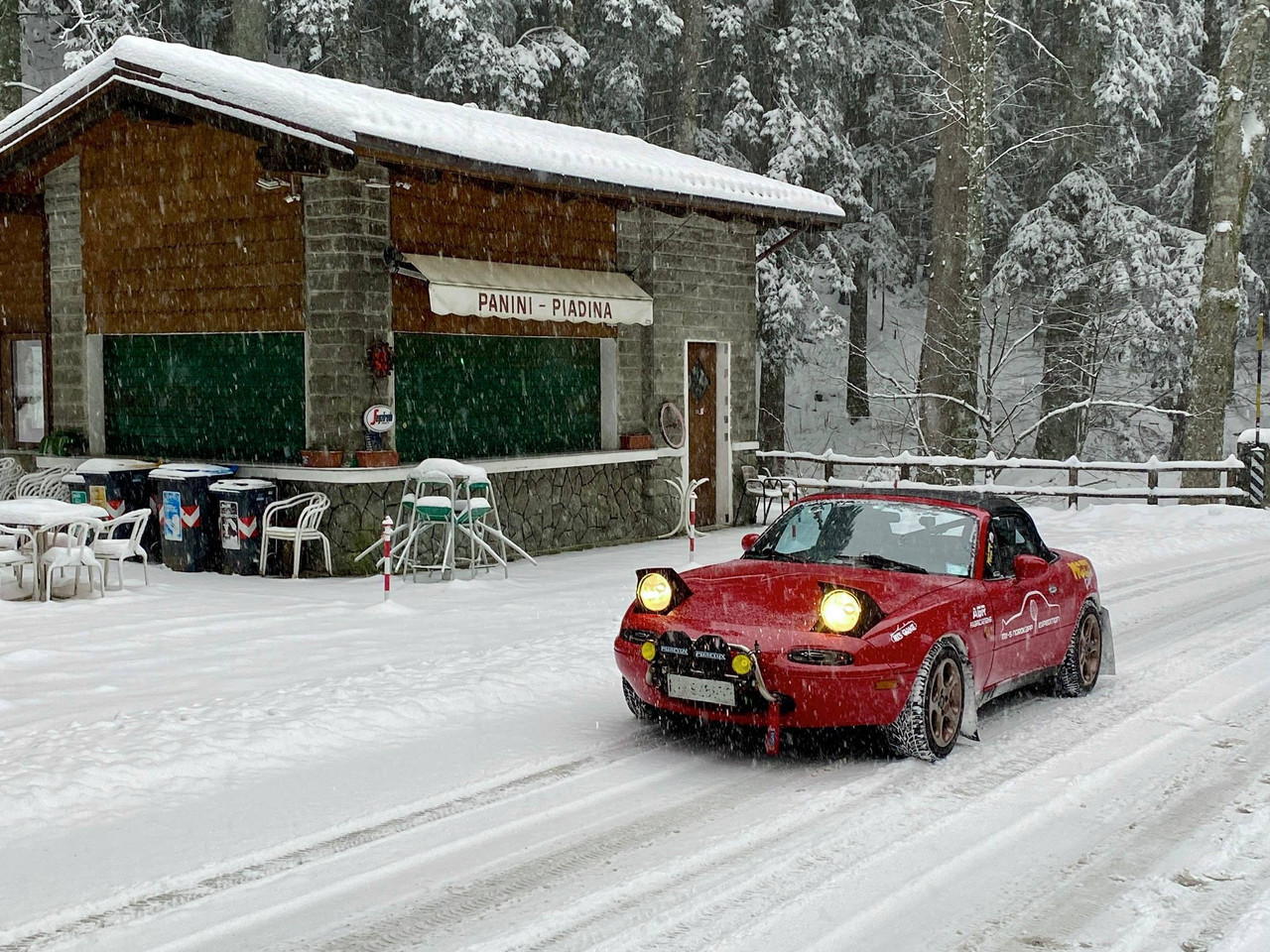 [Immagine: 6037361685074480311.jpg]