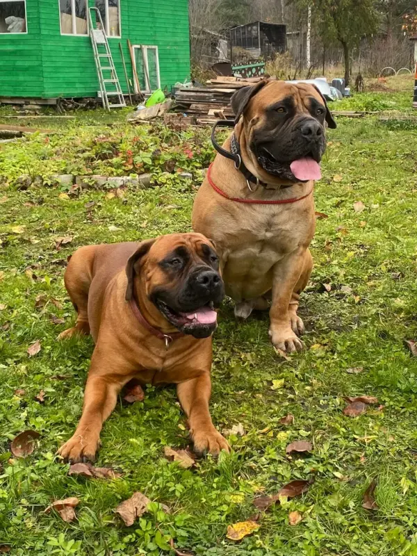 ByH_4U1Mp-frE4lhoLNTobkwGWbXq65mPEcobo5wErftezf8EDXwIdJZGbmq-lgiOzfKz2oxxNTbzQuzK2L-GFEH