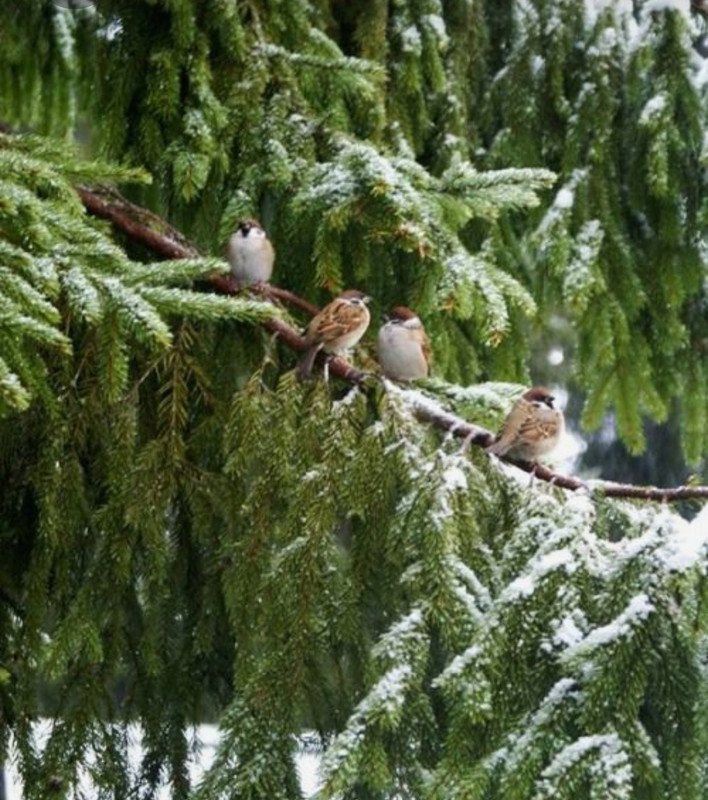 Screenshot_20230329_233726_Pinterest