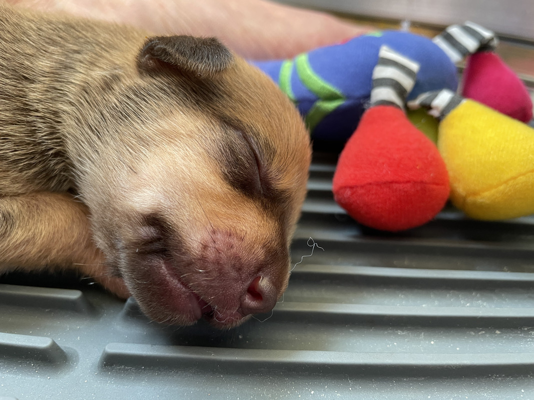 88D305BC-9E5B-45E4-A7C3-F13B0FE5A97C