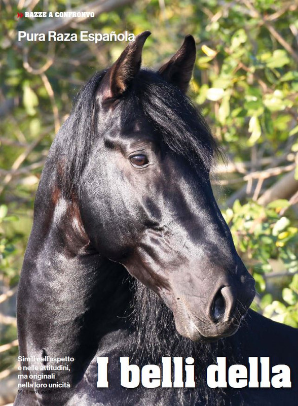 Il Mio Cav (Set-Ott 2024) 5