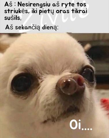 Paveikslėlis