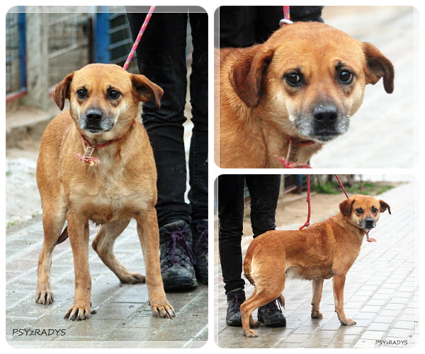 BeFunky-collage (18)