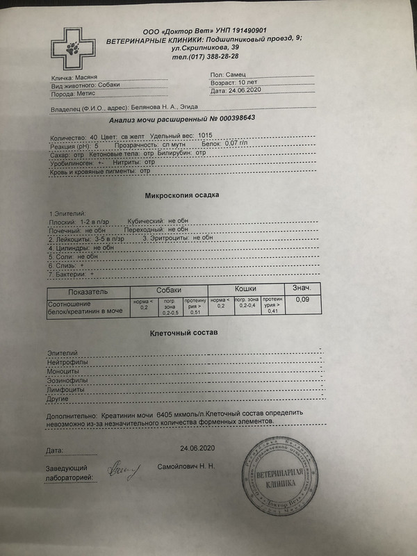 2E996579-761B-4907-B2C5-966446D916A2