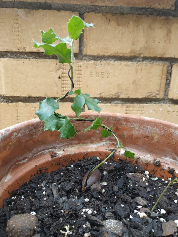 WhatsApp Image 2020-05-27 at 13.29.08 (4)