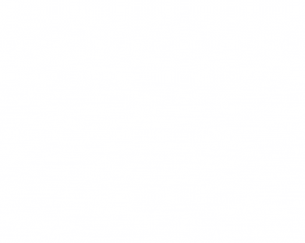 SSRP-2.gif