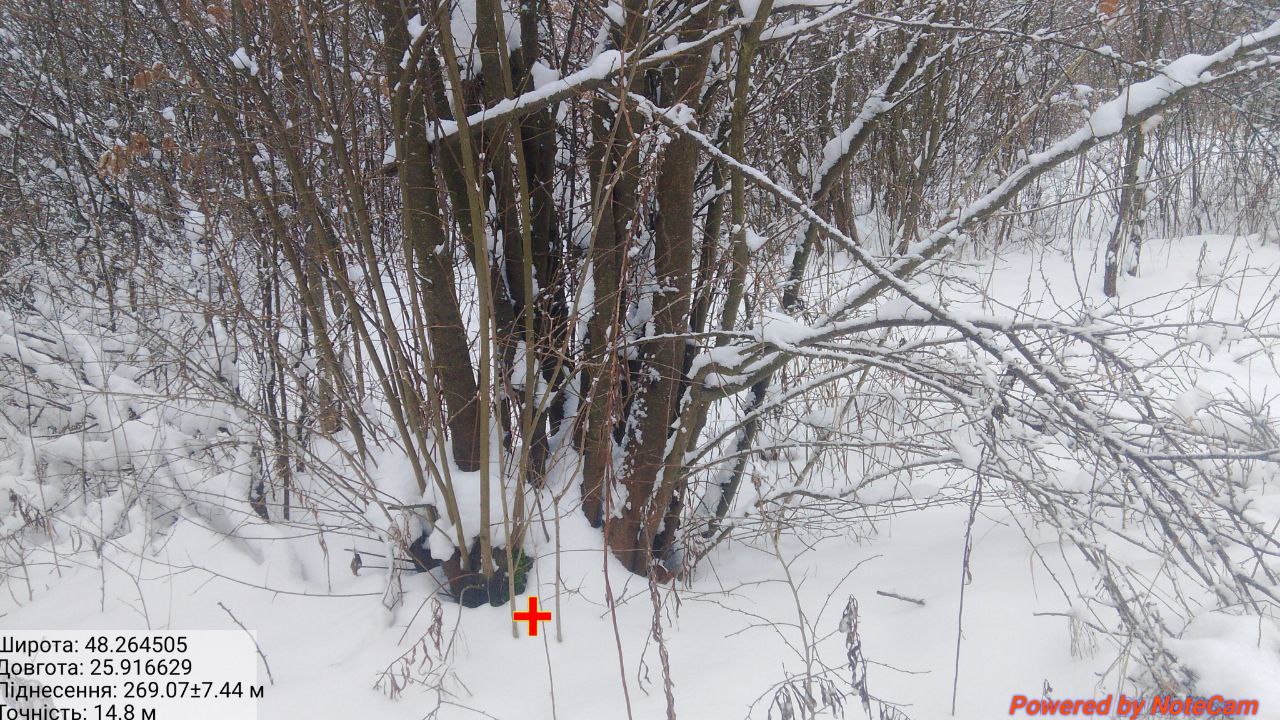 photo 10 2026 01 15 05 16 37