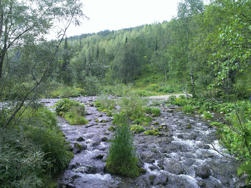 IMAG0481