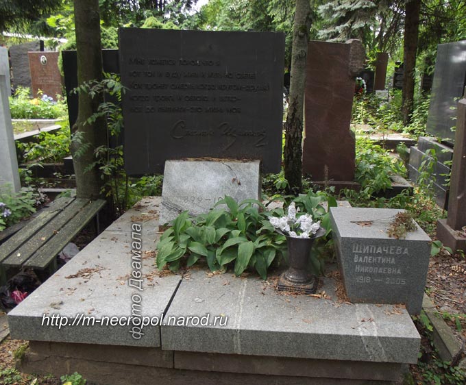 shipachev1