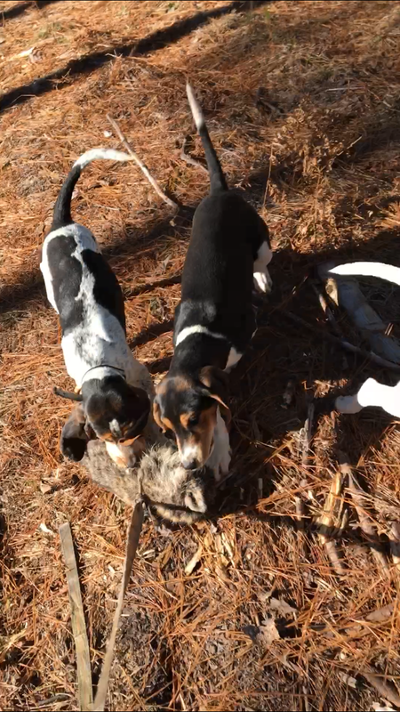 EECB5444-960E-4985-9BCF-06AD585354CB