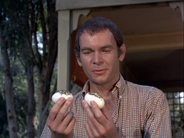 vlcsnap-2017-09-24-17h55m00s763