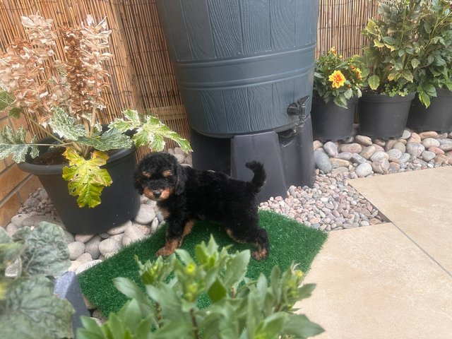 lenny-first-day.jpg
