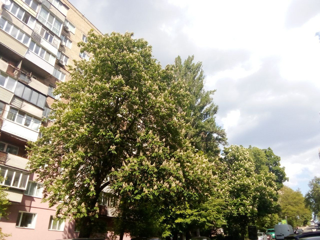 photo_2025-05-17 10.03.19 дп