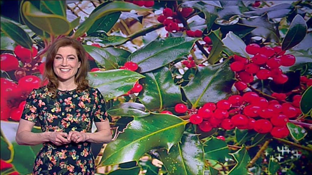12.24 - 13.20.00 - This Is BBC One HD. Please switch over to BBC One.ts_snapshot_10.10.419