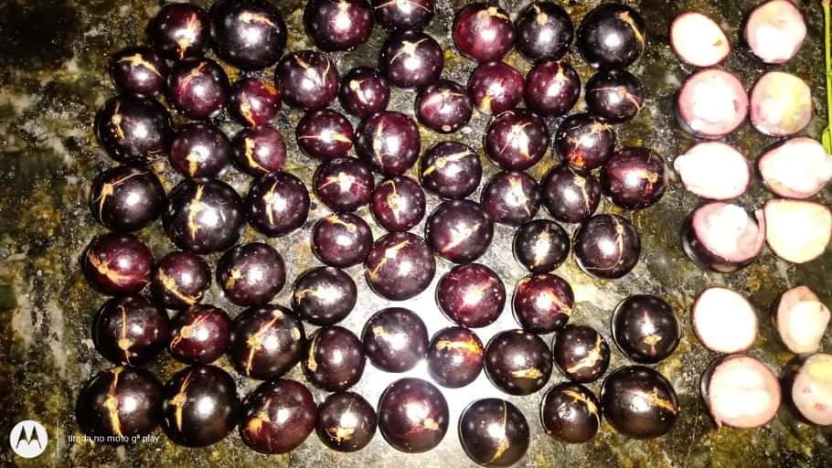 WhatsApp Image 2020-12-20 at 00.10.49 (47)