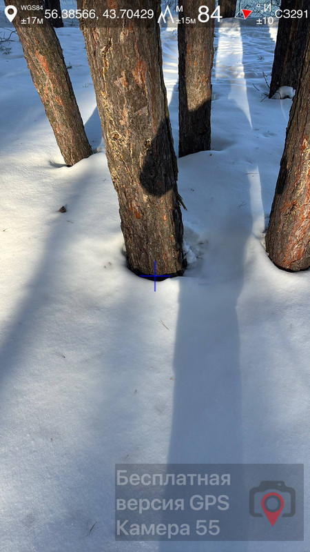 photo 38 2026 03 13 11 02 12
