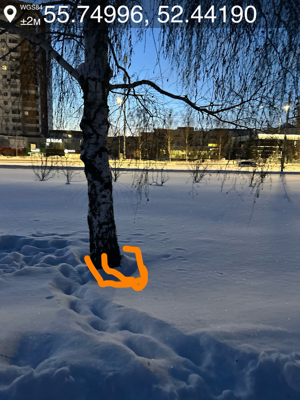06февр 26 06 34 s