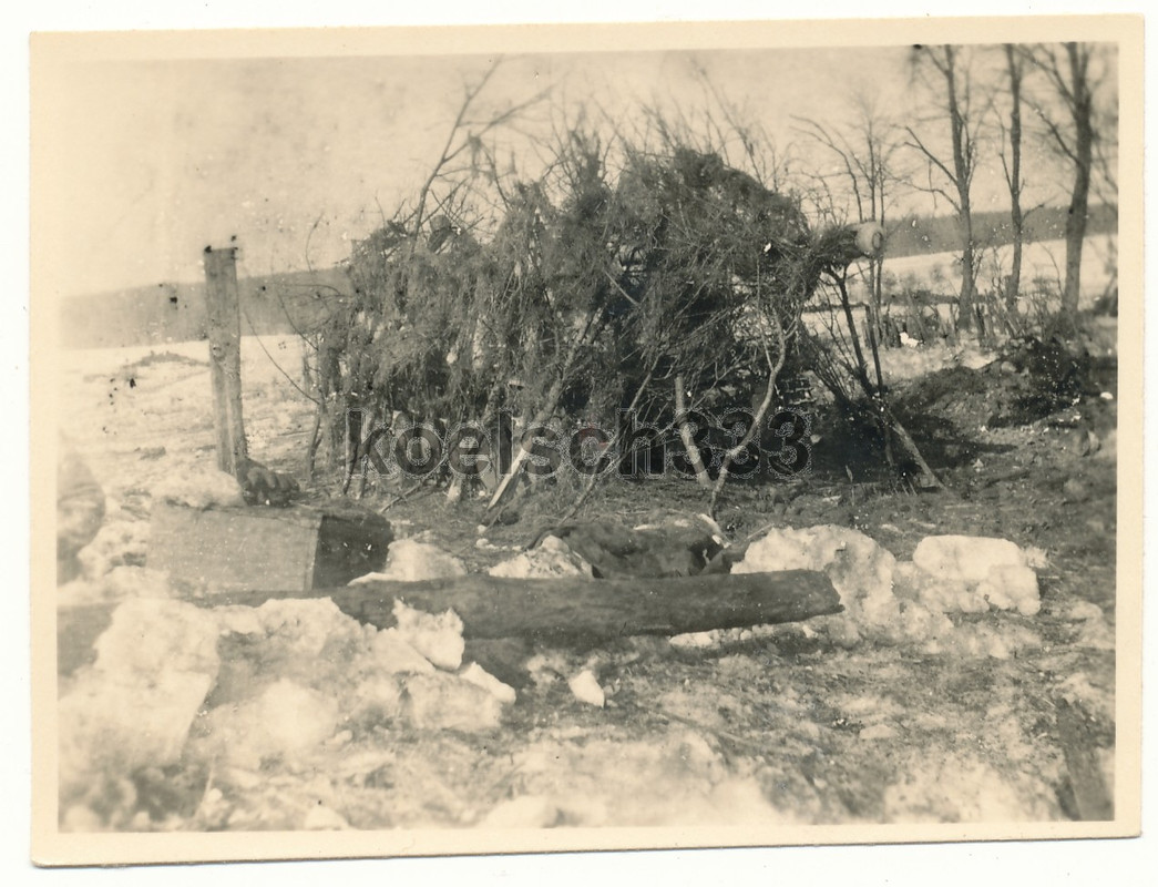 Foto Orel 1943 Fallschirm Panzerjäger Panzer  gu