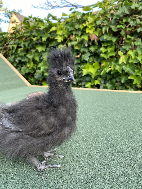 4994F661-4795-48AC-9488-543A9D98B8AB