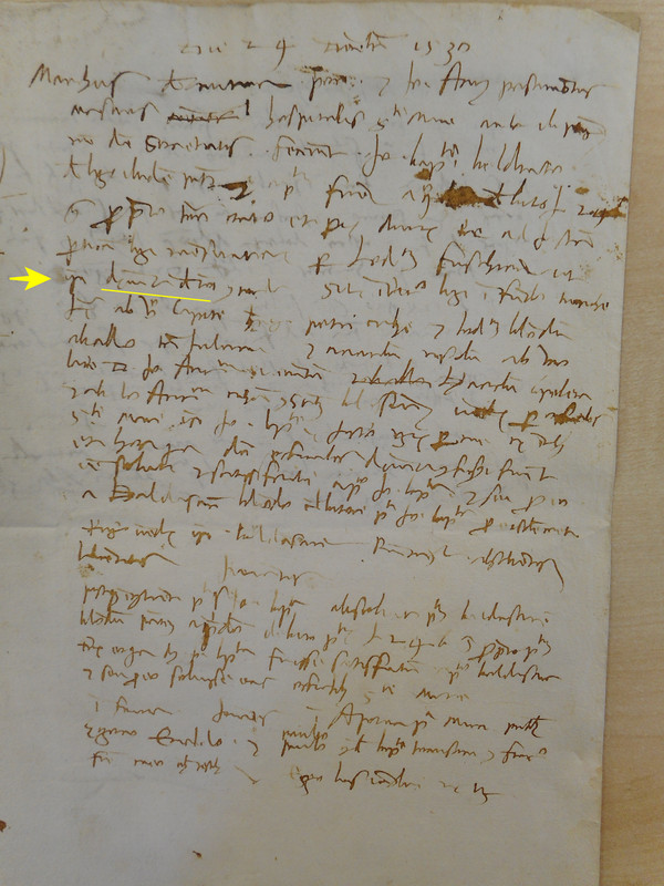 1530 MARCO fondo turiche
