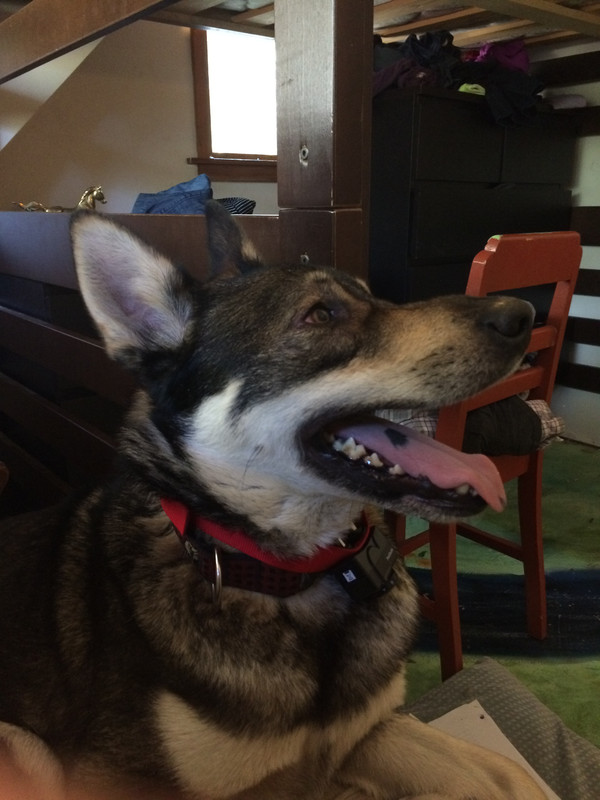 F7315ABE-036B-443D-94A6-5D0CB942E6C7