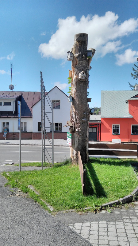 Obrázek