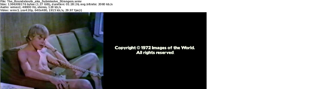 12112023011704screenshot