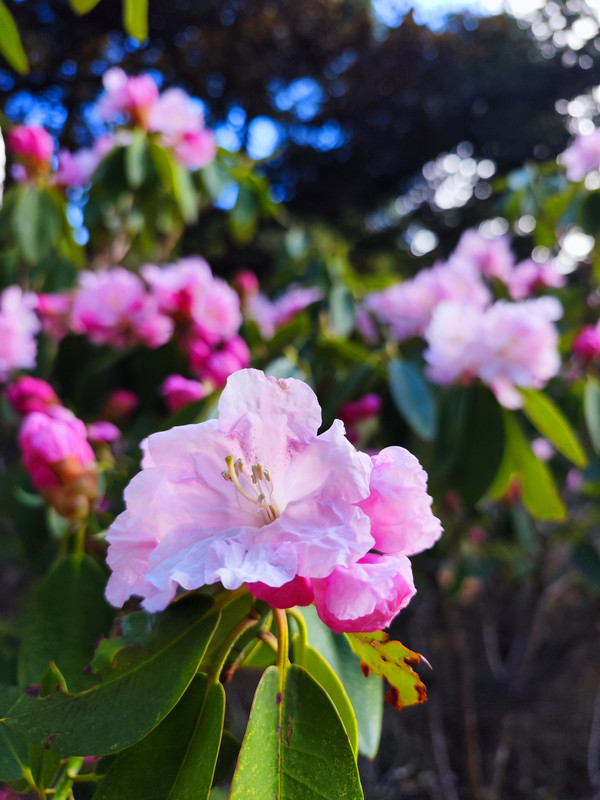 IMG_20230520_172700_副本