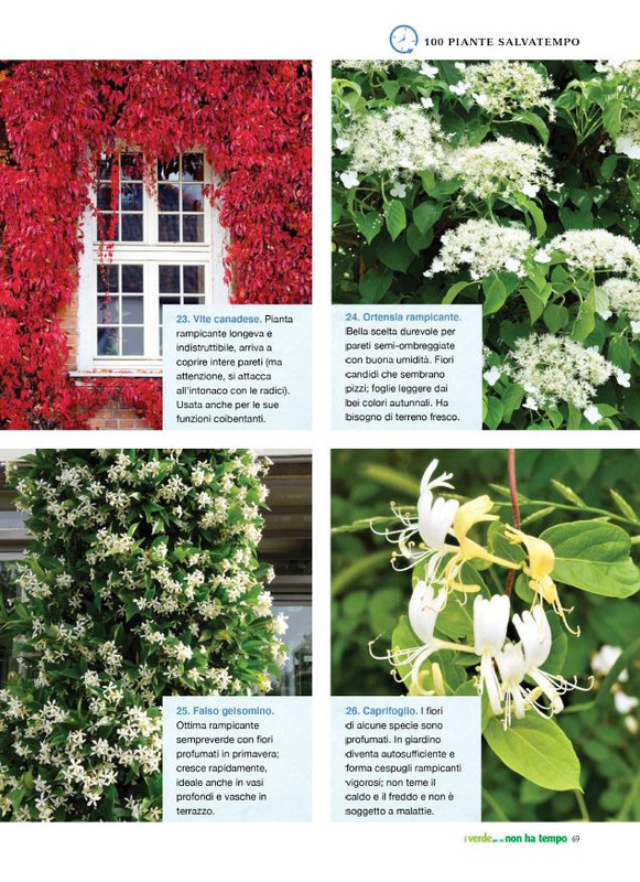 Pol Ver Spe Apr-Mag 2023 (10)