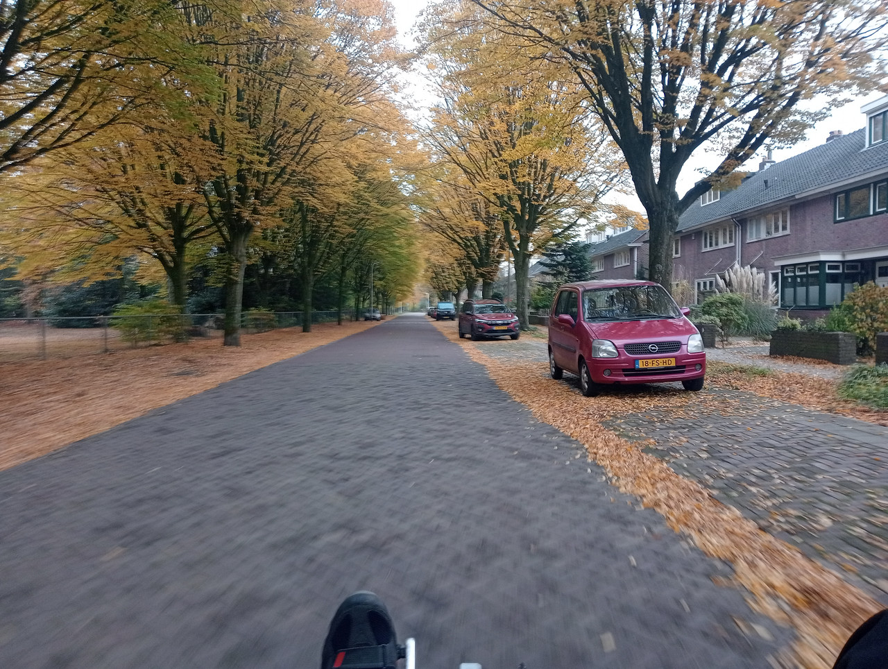 [Afbeelding: IMG20251108162644.jpg]