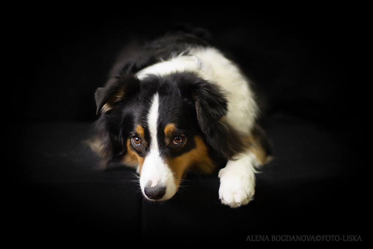 22967413-1D3F-4C23-B3E2-B3DAE1249331