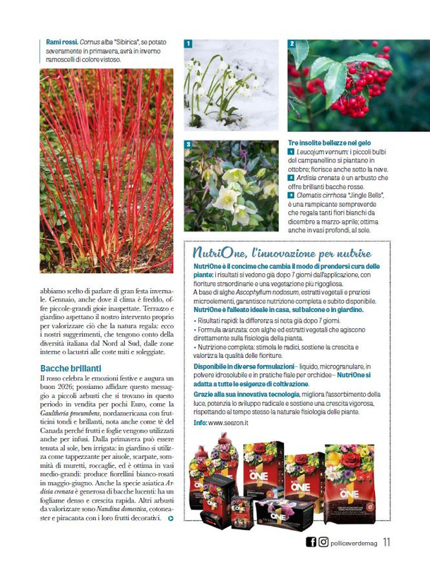 Pol Ver Dic 2025 Gen 2026 (4)