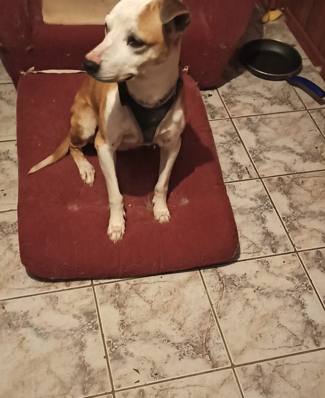 5FDA3145-B933-4E89-A03B-253CC9F8F8FB