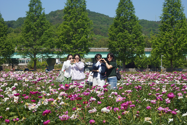 DSC06495